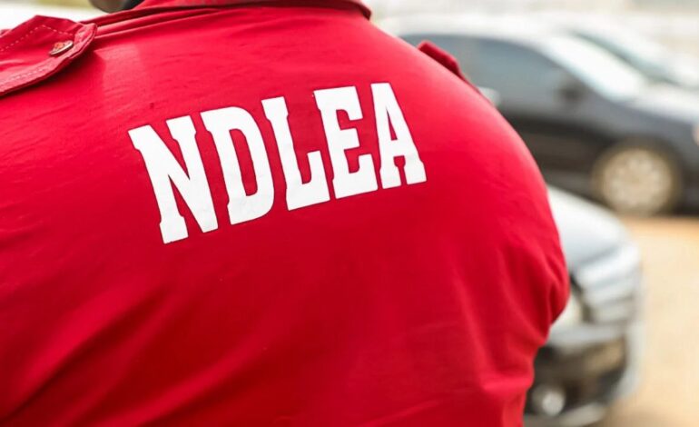 NDLEA Teams Up to Trash Expired Drugs in Jigawa