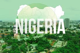 Nigeria to Generate $320M Annually from Innovative Carbon Credit Initiative
