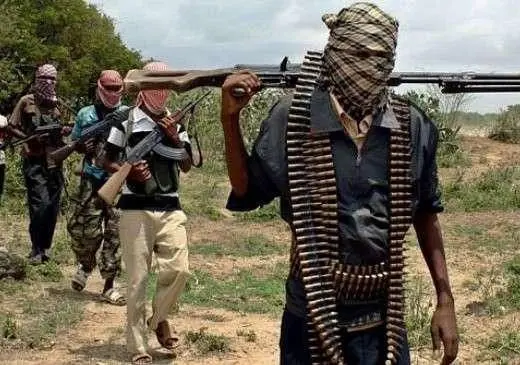 Armed Men Open Fire on Ondo Farmers, Leaving Five Dead
