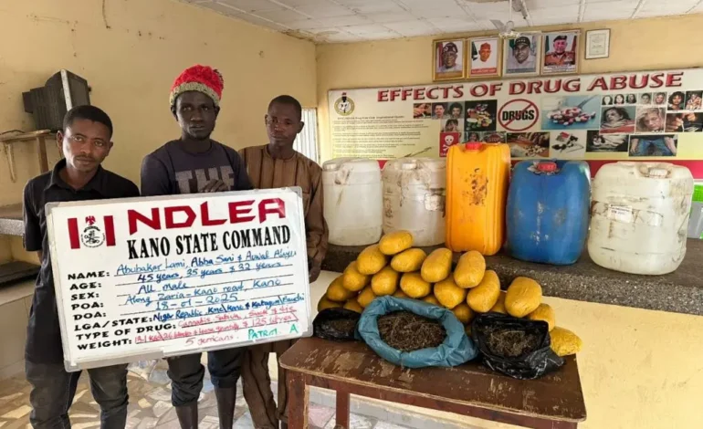 NDLEA Seizes UK-Bound Drugs Hidden in Duvet at Lagos Airport