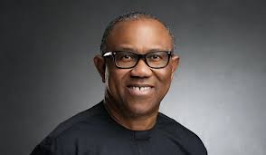2027 Elections: Peter Obi Speaks on Progress in PDP, NNPP Merger Discussions