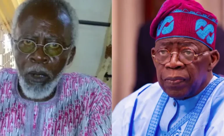 Educator from the US Urges Tinubu to Step In for Lecturer Facing 20 Years of Victimization