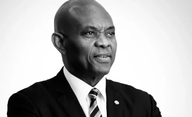 IMF Names Tony Elumelu as Member of Global Advisory Panel