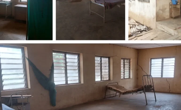 Crossing Borders for Care: Ogun’s Failing Health System Drives Medical Migration