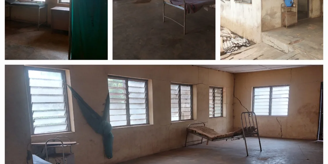 Crossing Borders for Care: Ogun’s Failing Health System Drives Medical Migration