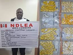 NDLEA Secures 95-Year Jail Term for 4 Drug Kingpins, Forfeits Jeeps, Cash Over N4.6bn Trafficking