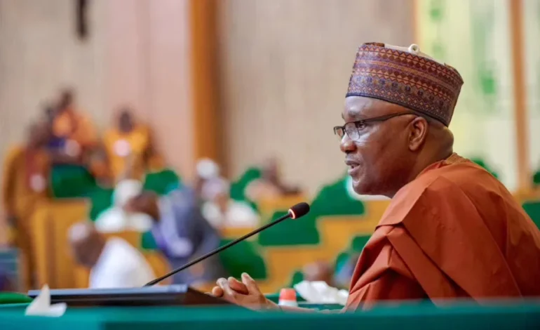 House of Reps Advances Bill to Raise Educational Requirements for Local Government Chairpersons